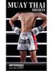 Children's Boxing & Muay Thai Training Set: Sanda Shorts & Top In Stock