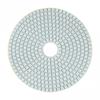 Dry/Wet Polishing Pad Polishing Pad 150mm 6 Inch Discs