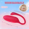 Wireless Bluetooth APP Vibrator Female Remote Control Egg Clitoris Stimulator G Spot Massager Sex Toys for Women Adults Panties