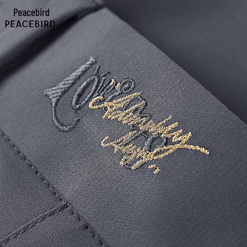 Peacebird Men's Summer Embroidered Slim Fit Casual Pants