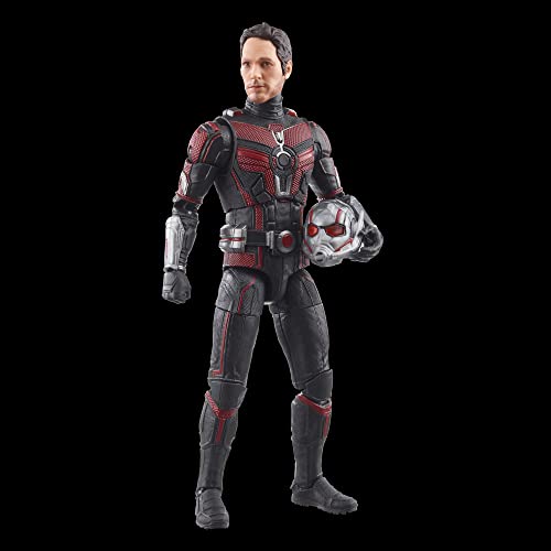 Hasbro Marvel Legends Series Ant-Man, Ant-Man and the Wasp: Quantumania 6-inch (15cm) Action Figure, Ages 4 and Up, F6573, Authentic