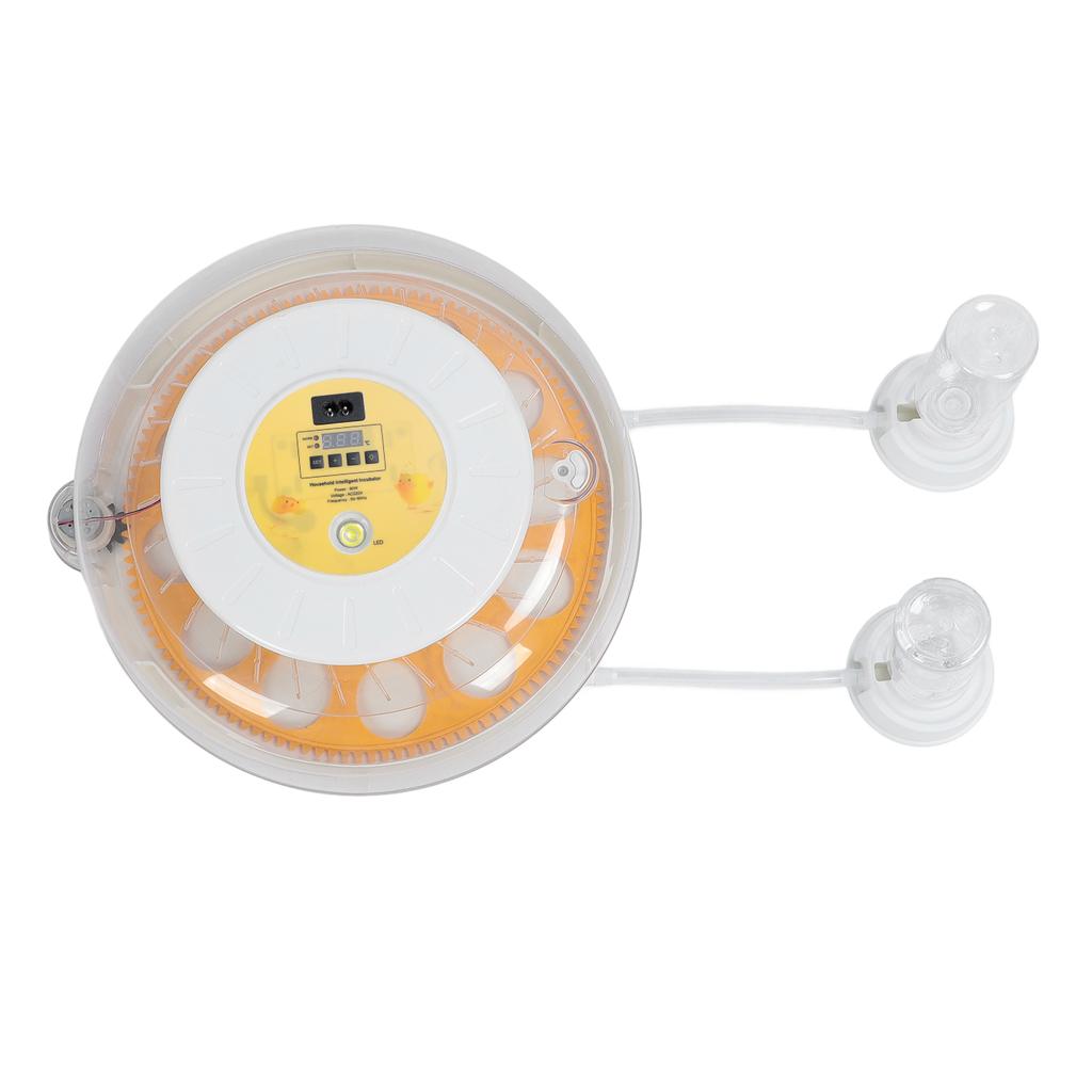 Eggs Incubator Automatic Turner Versatile Transparent Lid Easy To Use Egg Hatching Incubator for