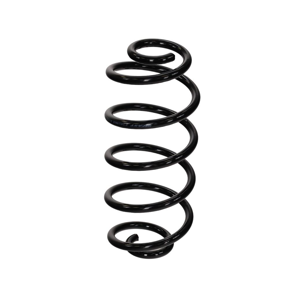 Ft01963 Fast Rear Suspension Spring