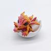 Latest 3D Small Newborn Dragon In Egg Art Dragon Statue Miniature Of Dragon Hatching Dragon Newborn Dragon In Egg Desktop Ornament