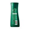 100 Years Runfa Soft & Bright Anti-Dandruff Shampoo