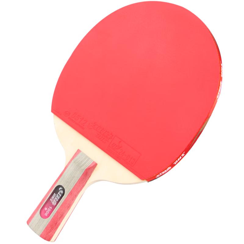 DHS H1006 One-Star Entry-Level Penhold Table Tennis Racket Short Handle Penhold