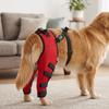 Adjustable Pet Knee Support Soft Leg Injury Protector Durable Anti Licking Sleeve  Leg Injury Care