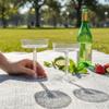 Disposable Clear Plastic Martini Flutes 10Pcs Detachable Toasting Cups for Anniversaries Holiday Parties Birthday Events