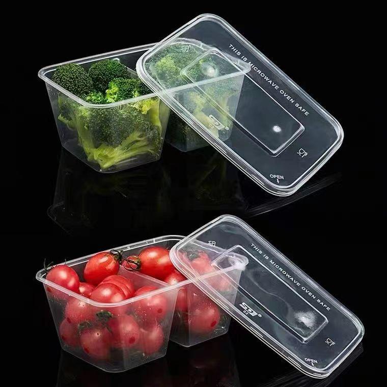 Transparent Double Compartment Disposable Food Container with Lid, Thickened Rectangular Takeaway Box, 500-1000ml.