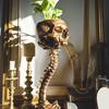 Yousheng Totenkopf-Pflanzgefäß mit Dornen-Ständer Realistischer Harz-Totenkopf-Blumentopf Gotische Heimdekoration Halloween-Süßigkeitenschale für Heim- und Bürodekoration
