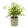 Birthday Gifts Artificial Green Plants Indoor Decorative Plants