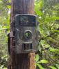 Hunting Trail Camera 16MP 1080P 940nm Infrared Night Vision Motion Activated Trigger Security Cam Outdoor Wildlife Photo Traps