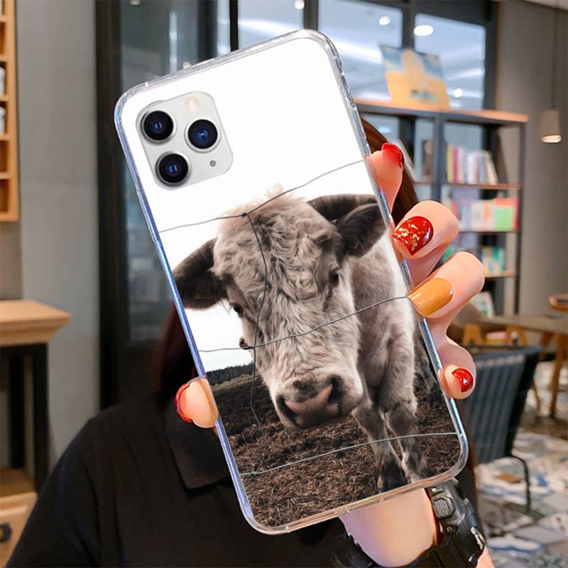 Animal Cute Cow Phone Case for iPhone 11 12 13 Mini Pro Max 8 7 6 6S Plus X 5 SE 2020 XR XS Case shell