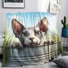 Hairless Cat Pattern Flannel Blanket, High Quality Comfortable for All Seasons, Home Decor, Warmth and Comfort, Perfect for Gifts.