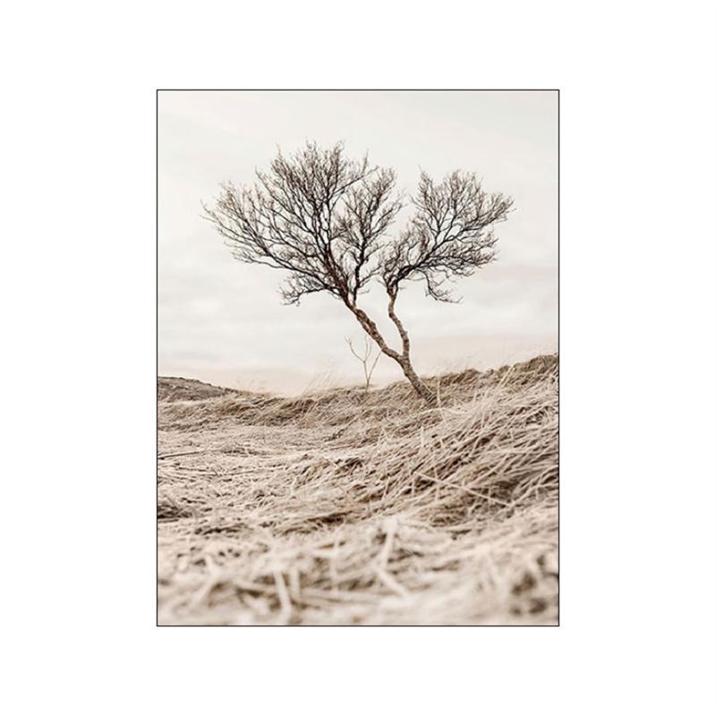 Łąka lew plakaty z krajobrazem płótno dmuchawiec malowanie trzciny i malowanie siana zdjęcia plakaty ścienne na wystrój salonu