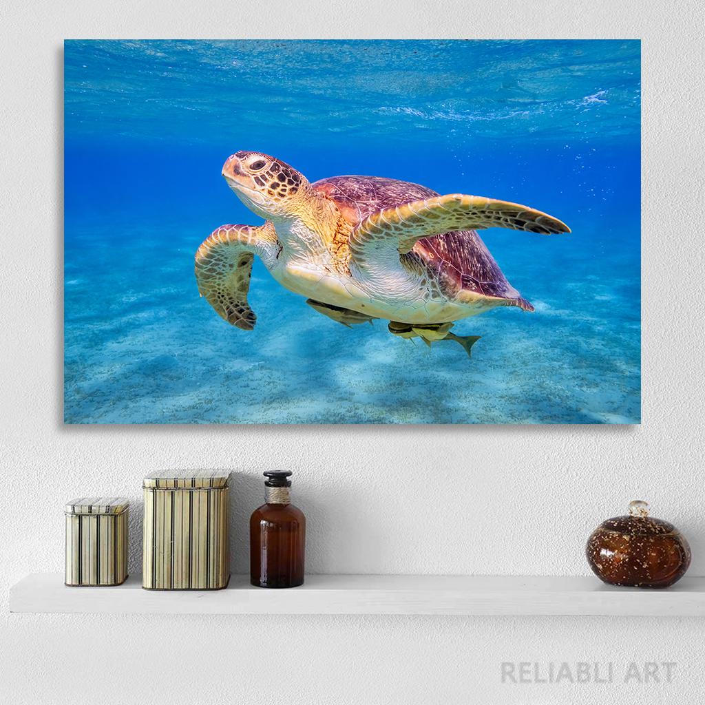 Green Sea Turtle Swims Underwater Wall Pictures Canvas Painting Ocean Marine Life Animal Posters Prints for Living Room Decor