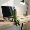 3D Printed Pickle Cucumber Statue Funny Hinged Cucumber Vegetable Desktop Ornament with Movable Joints Stress Relief Toy for Home Office Executive