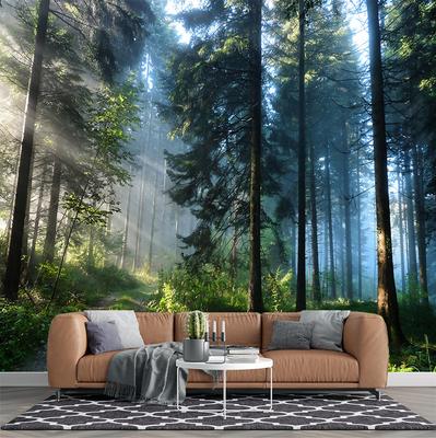 Morning Forest Wall Mural Living Room Bedroom 3d Landscape Forest Wallpaper Home Decor