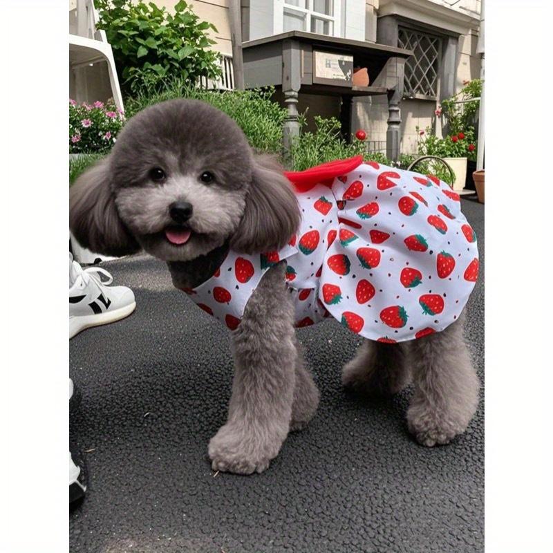 Summer Princess Dog Dress For Small Medium Dogs - Cute Printed Bowknot Lace Pet Skirt | Fashionable Puppy Apparel For Poodle Chihuahua & Small Breeds