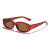 Neue kleine Rahmen karierte gestreifte UV-Schutz-Sonnenbrille Internet-Berühmtheit trendige Modebrille