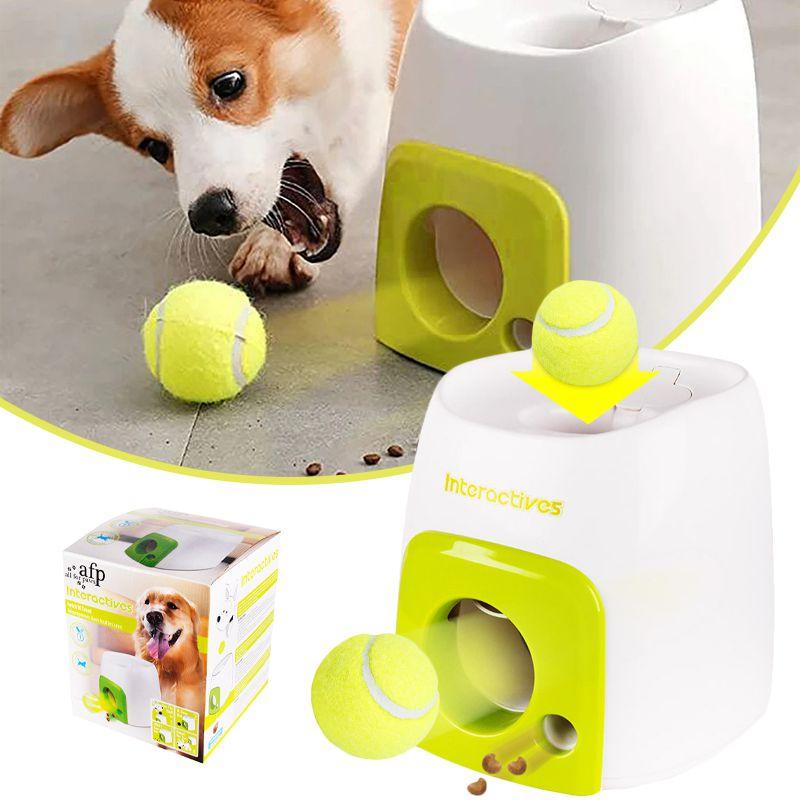 Educational Tennis Ball Hyper Game Training Machine For Active Dogs