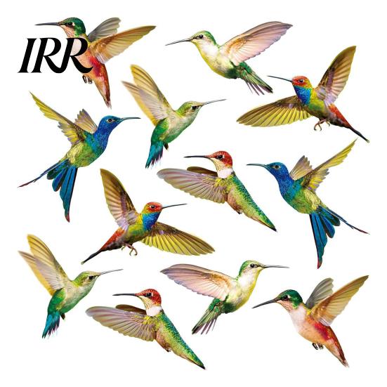 Outdoor Window Decal Bird Stickers, Anti-Collision Strike Prevention Decal, Static Cling Glass Protection Sticker Film for Windows Doors, UV