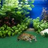Floating Island Realistic Grass Mat Turtle Basking Platform Fish Tank Ramp Artificial Turf Mat Indoor Outdoor Use
