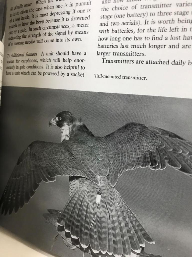 [USED] Falconry: Art and Practice (Revised Edit)