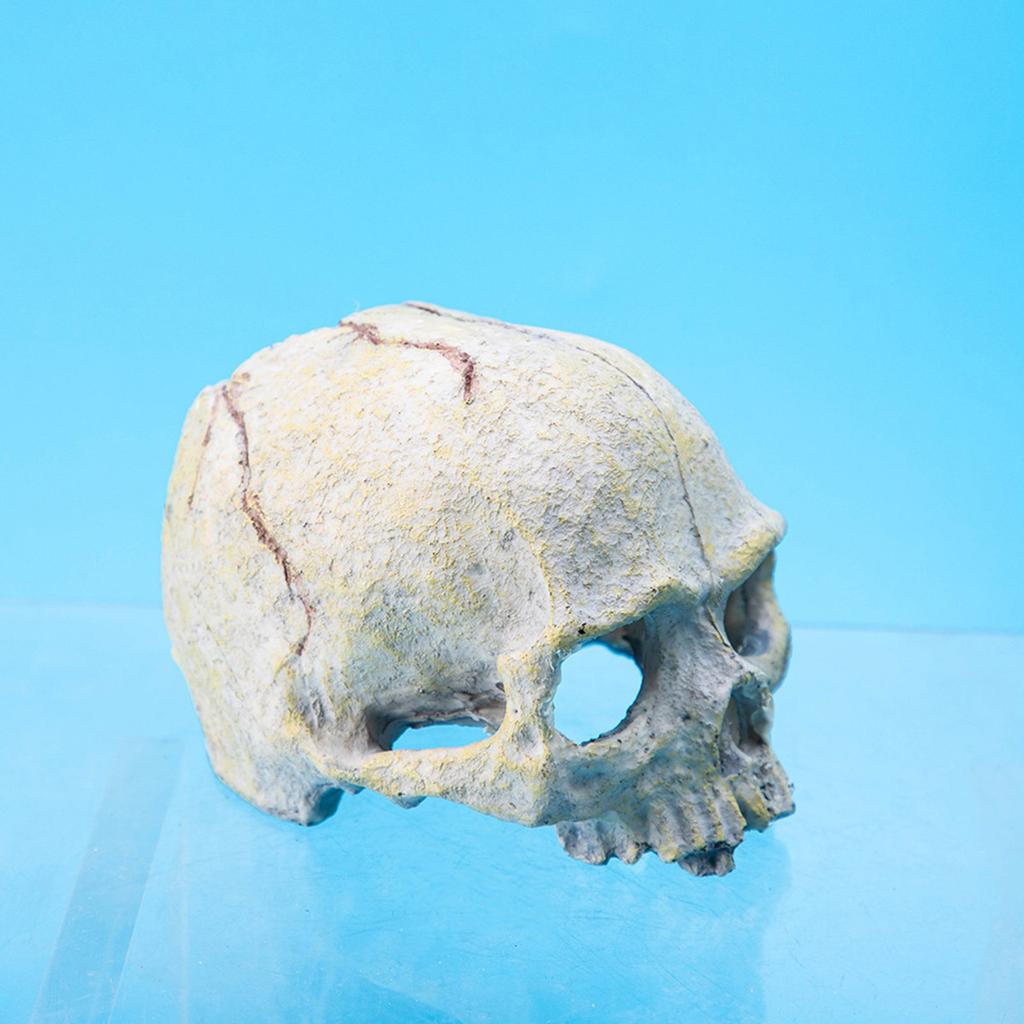 Harz Schädel Figur Reptilien Verstecke und Höhlen Aquarium Terrarium Zubehör für Leopardgecko Bartagame Königspython