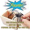2pcs Spider Surprise Box,spider Box Spider Prank Box Spider Box Fake Spiders Box Spider Prank Toy, For Halloween April Fool's Day Kids Adults