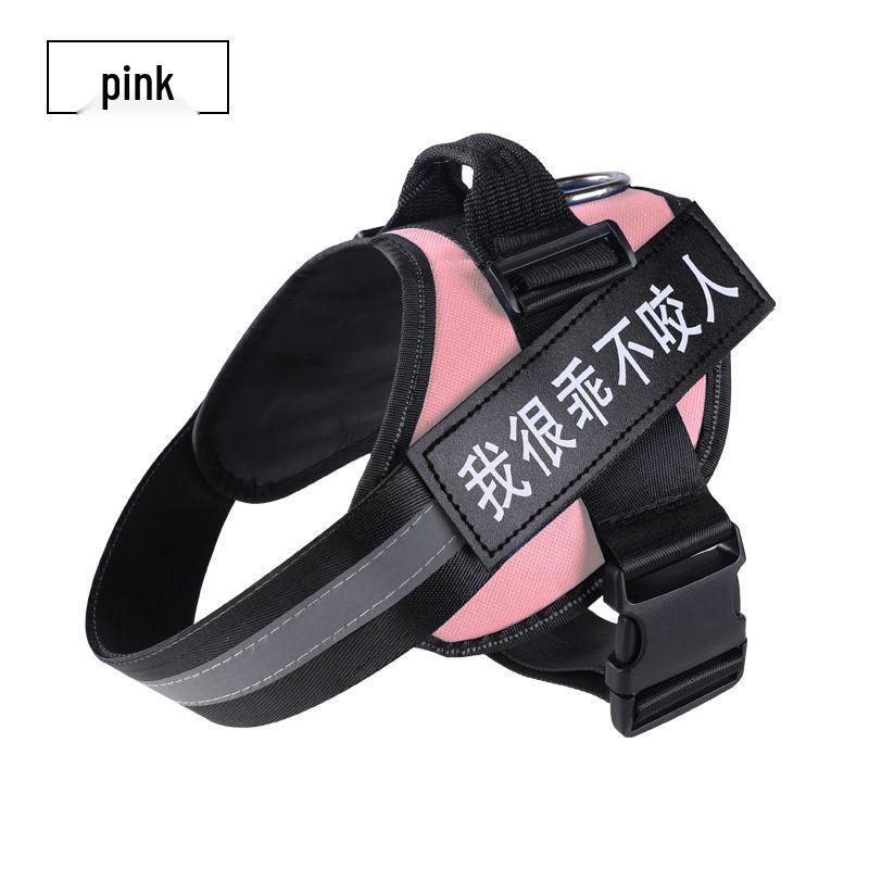 

Adjustable Large Dog Harness and Chain Leash for Golden Retrievers & Alaskan Puppies XS (5-11 lbs)