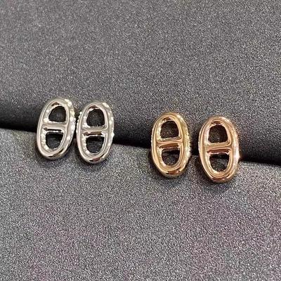 Women's Minimalist Pig Nose & CD Letter Hoop Earrings - Shiny, Light Luxury Jewelry