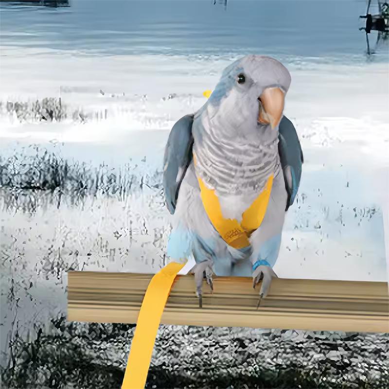 Kleiner und leichter Papageien-Fluggeschirr, geeignet für Unzertrennliche und Sonnenvögel sowie Vogelspaziergänger für die Freilassung von Vögeln im Freien.