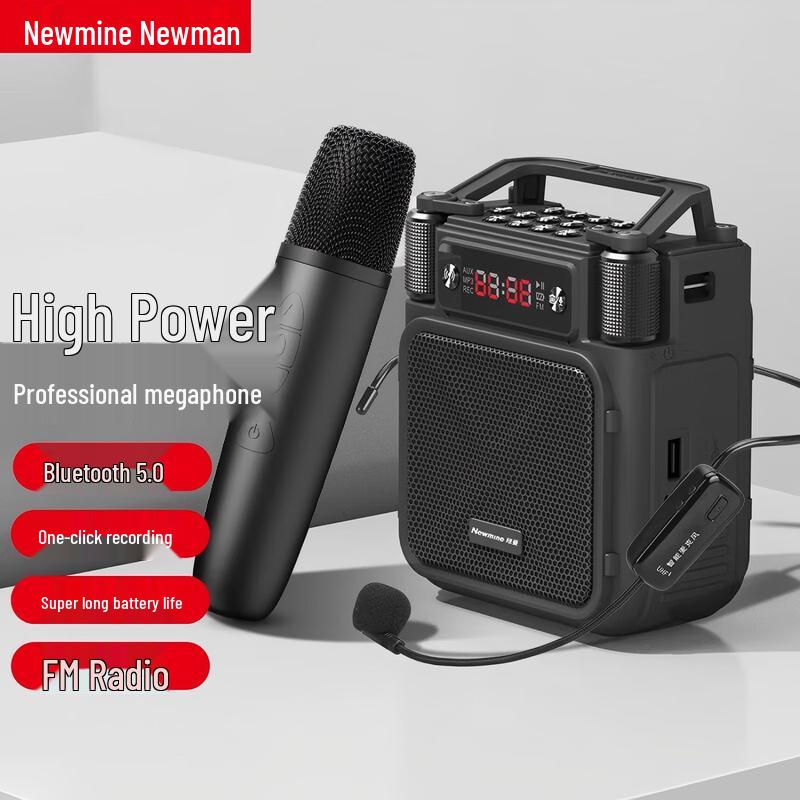 Newman MS19 Wireless Dual Microphone System