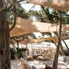 Garden Shade Net Outdoor Cloth UV Resistant Breathable Wind HDPE Patio Sun Fabric Deck
