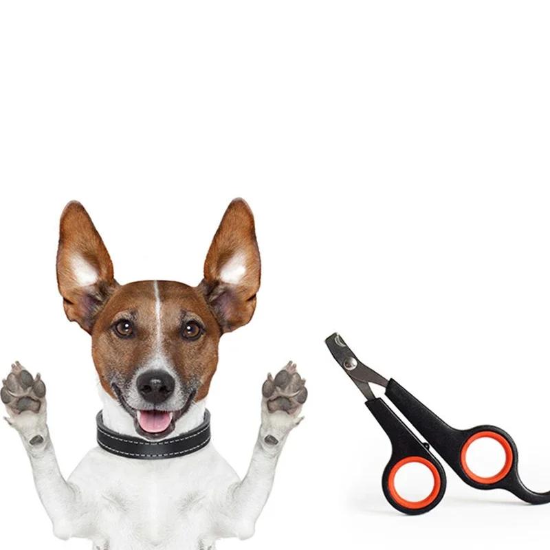 Stainless Steel Pet Nail Clippers, Scissors for Dog and Cat Claw Grooming, Toe Care and Trimming