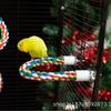 Parrot Climbing Rope Perch and Nail Grinding Stick for Cockatiels and Budgies - Bird Cage Toy Accessory