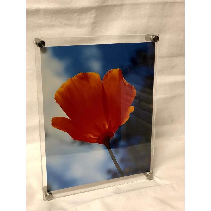 Osring 1 x 1 Inch Sign Standoffs Mounting Hardware 16 Pack, Wall Screw Standoff Holder Stainless Steel Advertising Nails for Displaying Acrylic Board