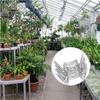 100 Pcs Greenhouse Glass Clips - Stainless Steel Greenhouse Window Clips Glass Panes Fixings Clips