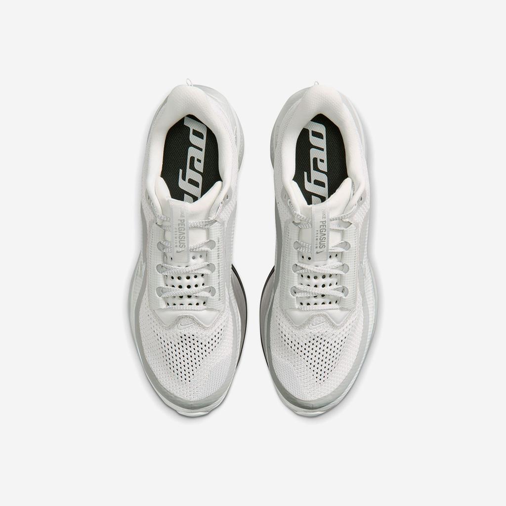 Nike Pegasus Premium RR [IR1229-001]