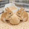 Bissfester Kaninchen Beruhigungsball Plüsch Simulierte Kaninchenhintern Kaninchen Beruhigungsball Bequem Weicher Kaninchen Entlastungsball