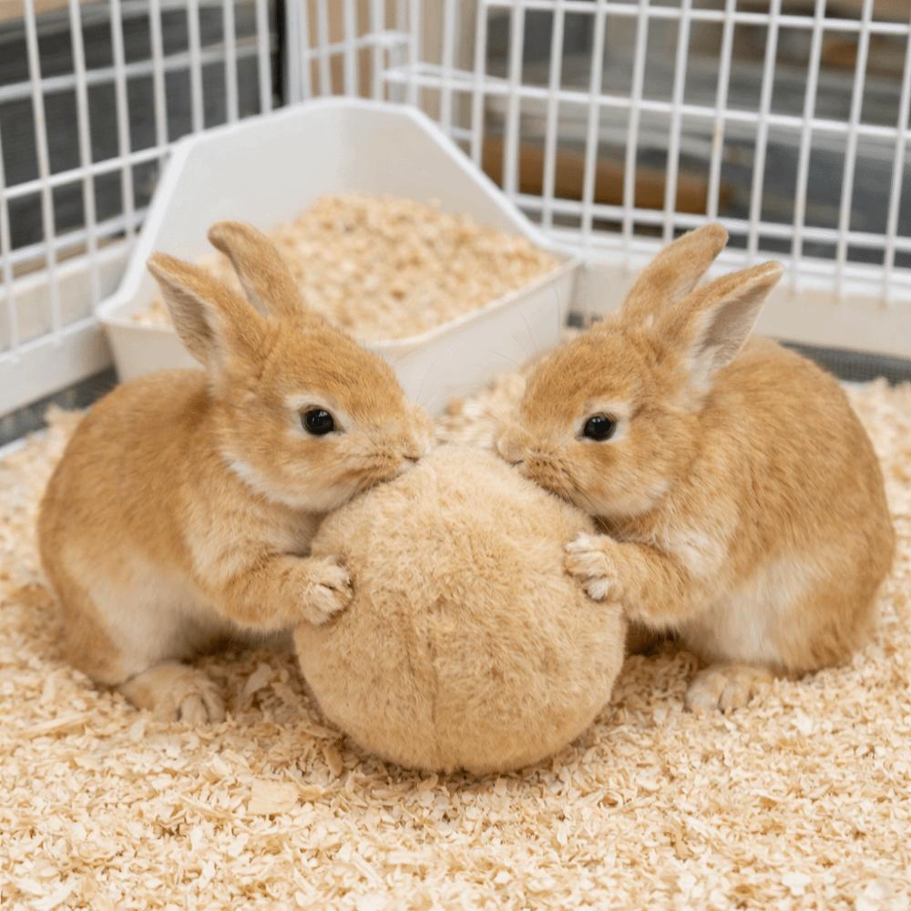 Bissfester Kaninchen Beruhigungsball Plüsch Simulierte Kaninchenhintern Kaninchen Beruhigungsball Bequem Weicher Kaninchen Entlastungsball