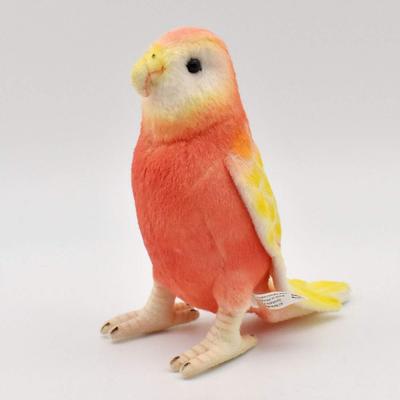 BH7637 HANSA Great Cricket Rosella 14
