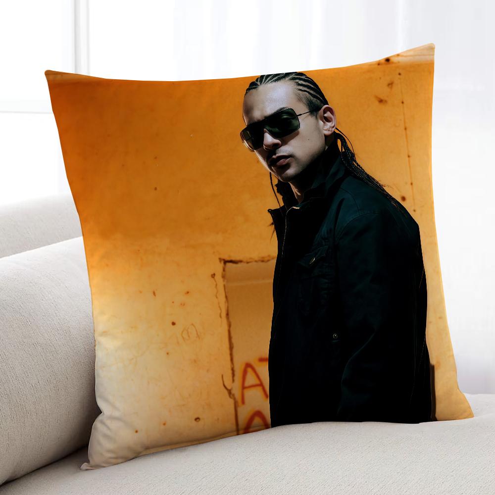 Singer SSean Paul cushion cover Home Bedding Sofa living Room pillowcase Simple Soft Skin Cushion Cover Party Gift