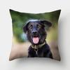 1 Stuk Hond Patroon Kussenhoes Sofa Huisdecoratie Auto Kantoorbenodigdheden Buitenkussen