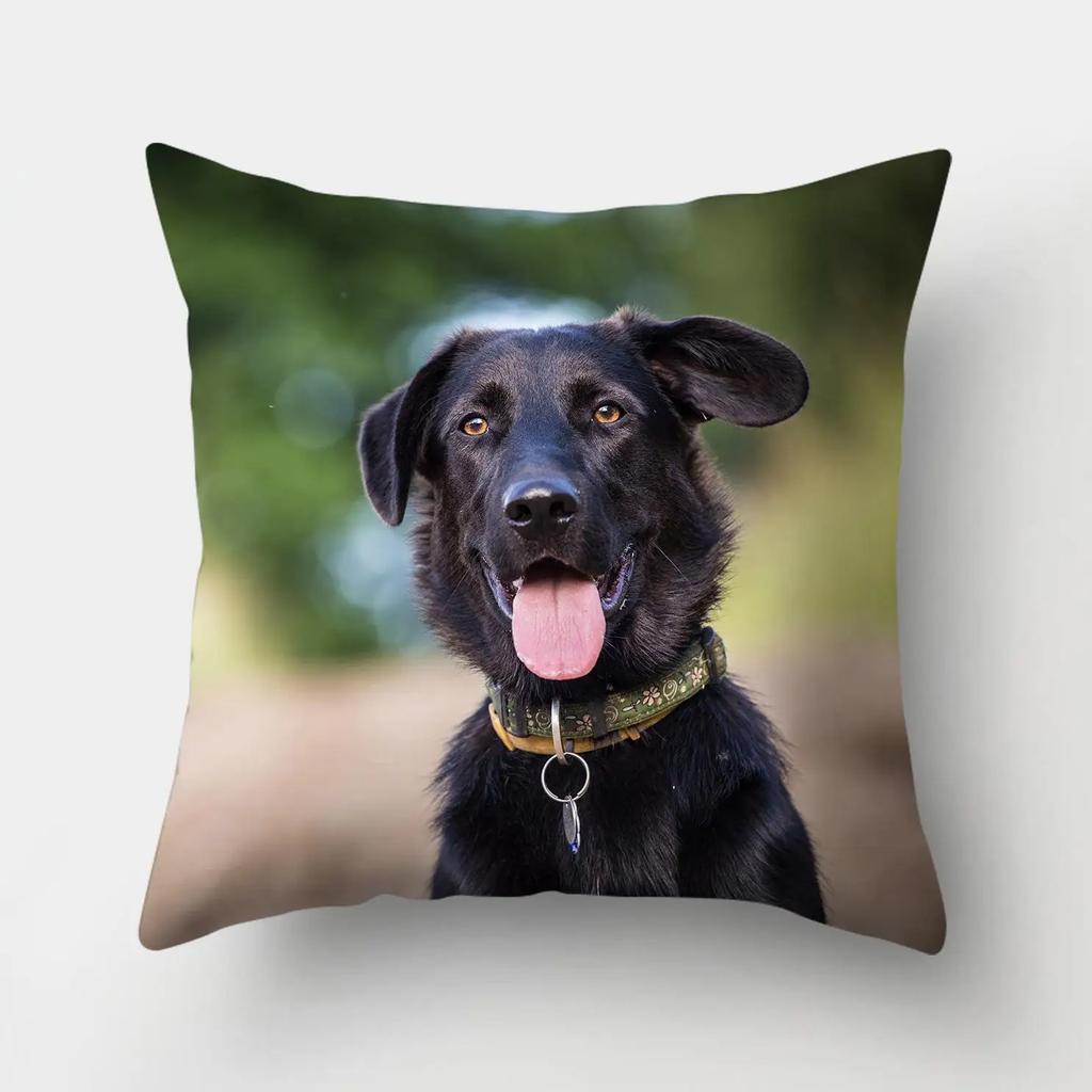 1 Stuk Hond Patroon Kussenhoes Sofa Huisdecoratie Auto Kantoorbenodigdheden Buitenkussen