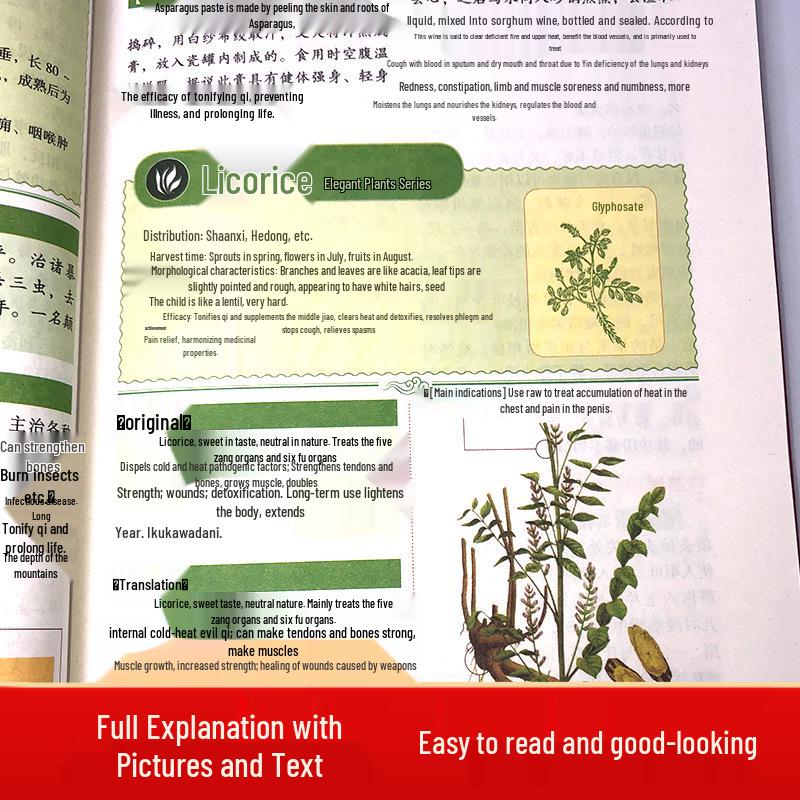 Eight Classics of Chinese Medicine: Huangdi Neijing, Tangtou Gejue, Bencao Gangmu, Shang Han Lun, Jinkui Yaolue