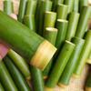 Bamboo Tube Zongzi Mold for Commercial and Home Use