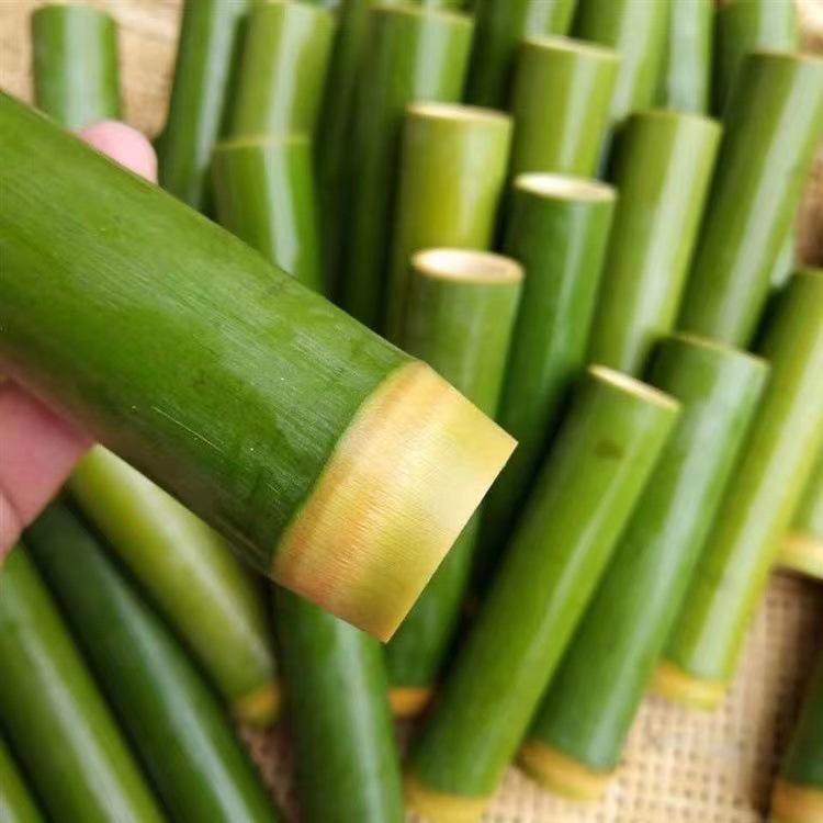 Bamboo Tube Zongzi Mold for Commercial and Home Use