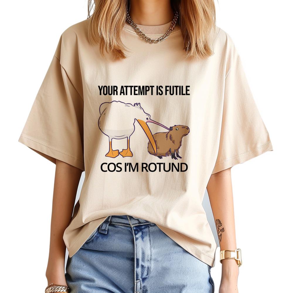 Capybara t shirt Women graphic comic Tee female streetwear clothing